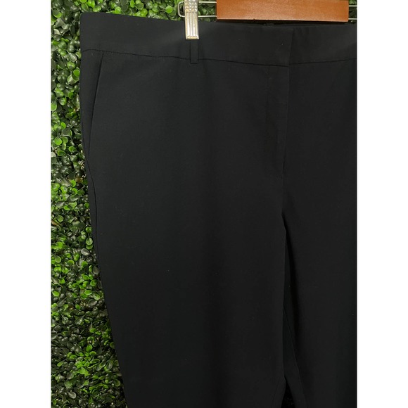 Anne Taylor Curvy Fit Dress Pants, Women's Size 18 - Picture 2 of 5